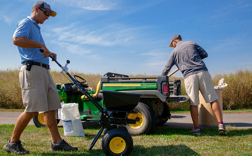 lawn mowing service