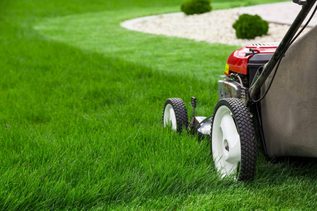 lawn maintenance services